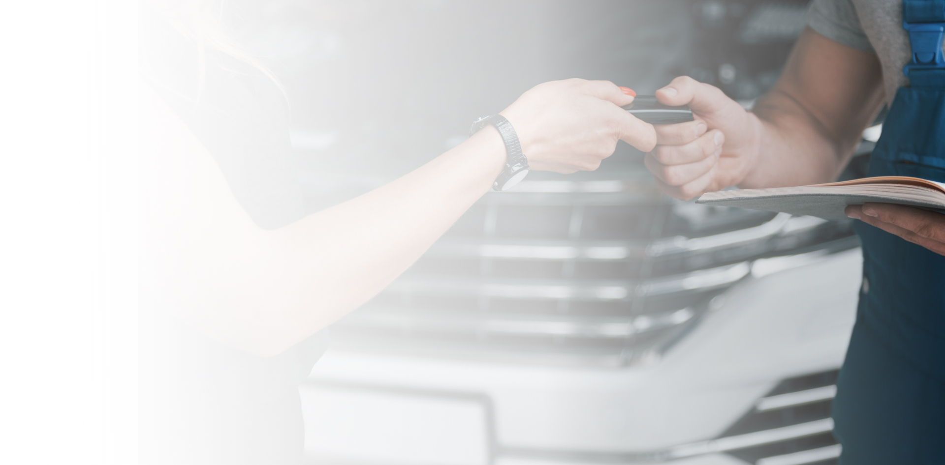 REWEICOLI Parco clienti centri di revisione